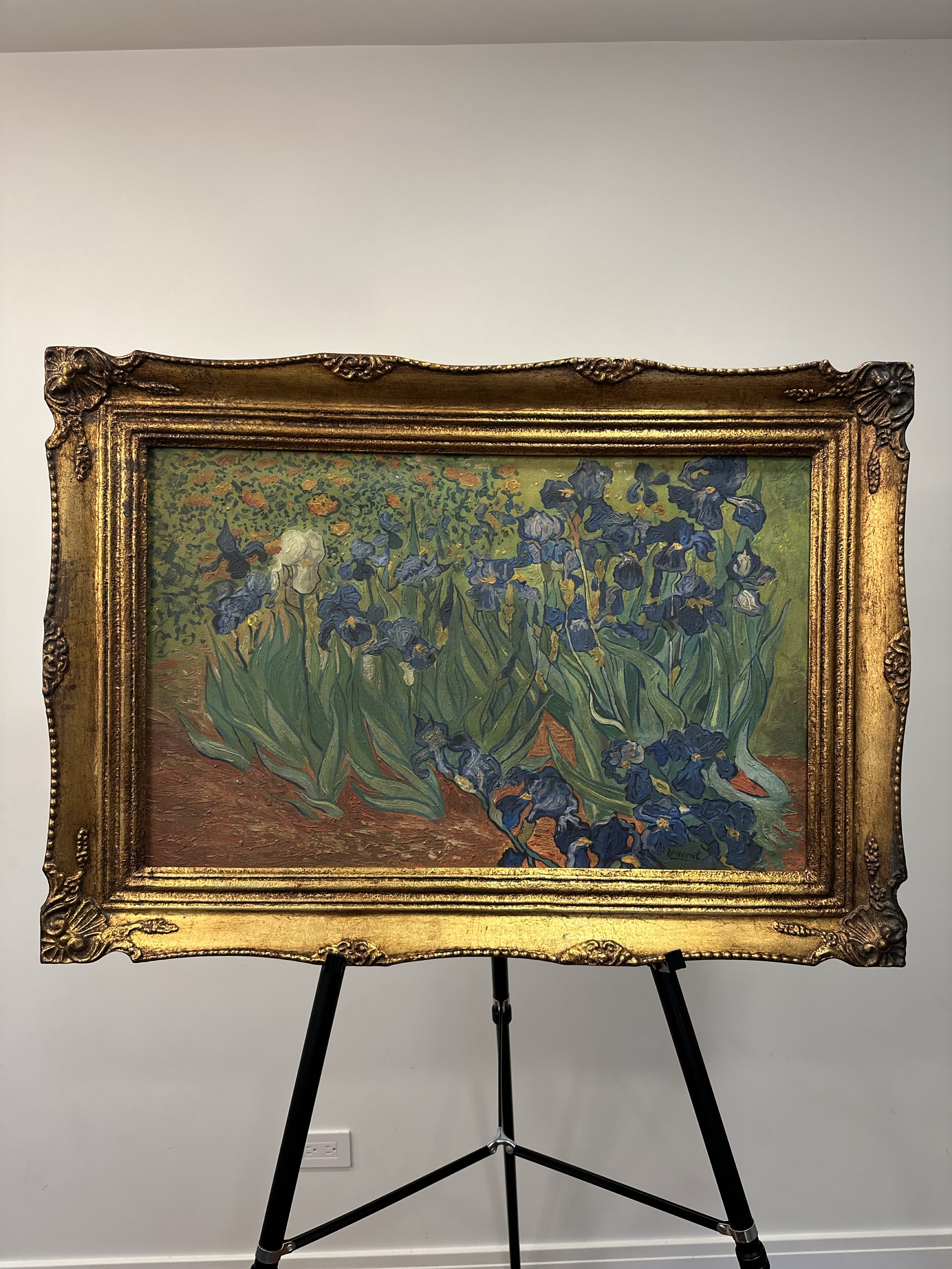 Van Gogh — Irises (1889). Iconic blue blades against green.