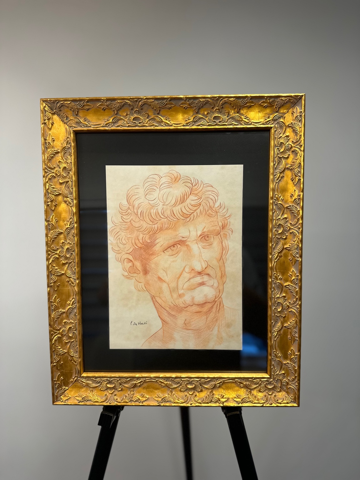 Bearded Head in Sanguine (after Leonardo) — classic ‘testa ideale’; careful chiaroscuro.